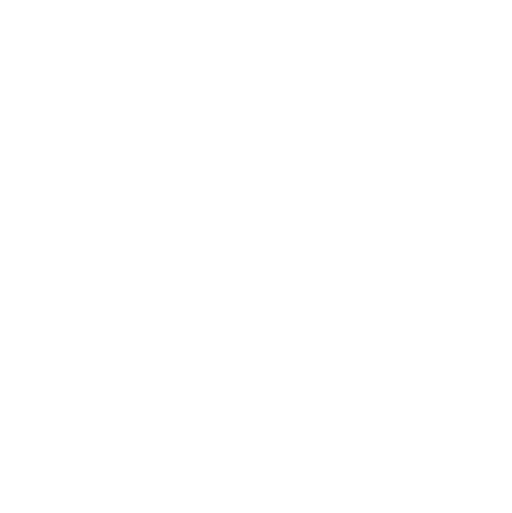 22 Years Experience